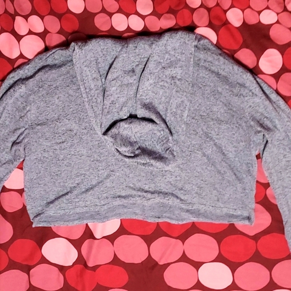 Prince and Fox Cropped Blue Hoodie